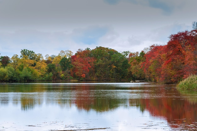 Árboles de otoño coloridos en el lago