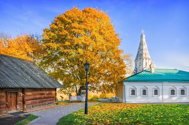 Árboles de otoño dorado y la Iglesia de la Ascensión en el parque Kolomenskoye en Moscú en un día soleado de otoño