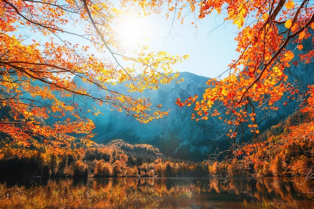 Árboles de otoño en la orilla del lago Hinterer Langbathsee en las montañas de los Alpes, Austria. Hermoso paisaje otoñal