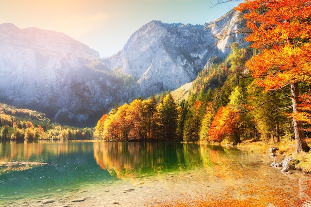 Árboles de otoño en la orilla del lago Hinterer Langbathsee en las montañas de los Alpes, Austria.