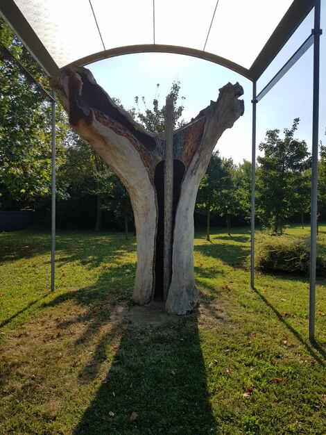 Árboles en el parque contra el cielo