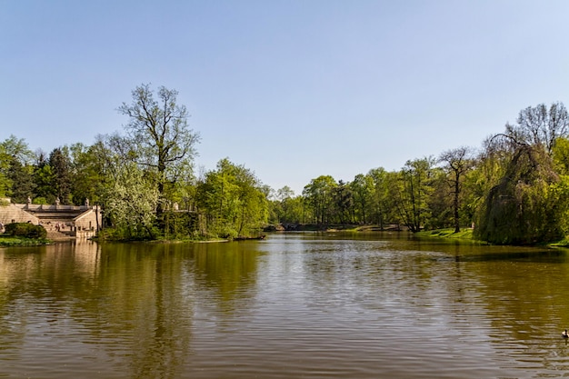 Árboles del parque de verano