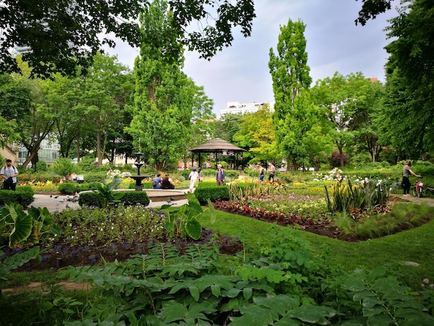 Árboles y plantas en el parque