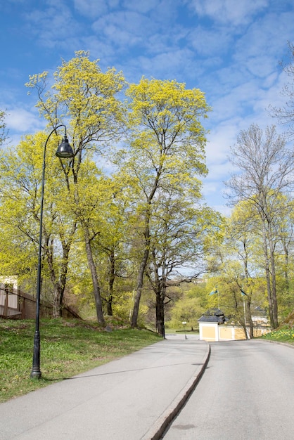 Árboles en primavera, Djurgarden Island Park, Estocolmo, Suecia