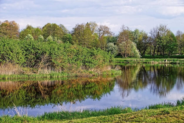 Árboles que se reflejan en un estanque en el Parque Nacional de Bialowieza como parte del Parque Nacional Belovezhskaya Pushcha en Polonia.