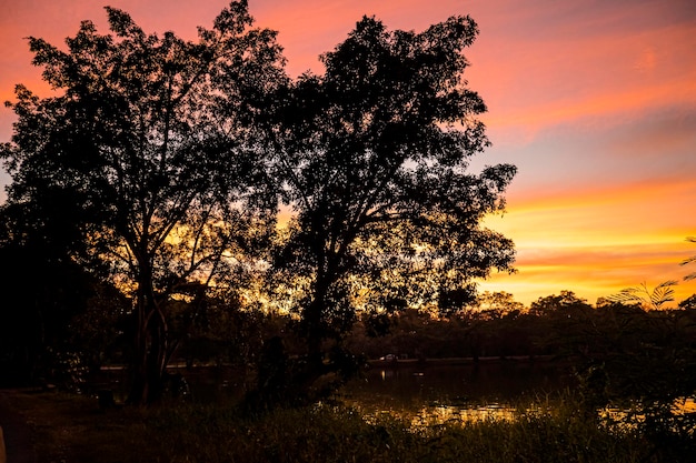 Árboles de silueta dramática con paisaje crepuscular cielo colorido en el fondo