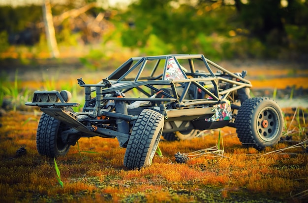 RC-Modell-Buggy