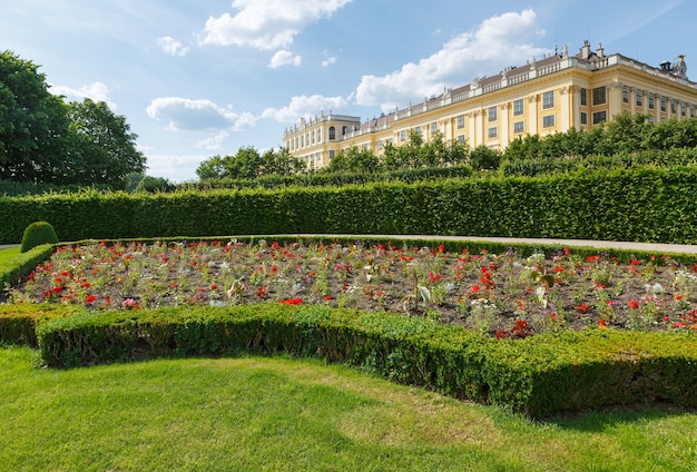 Área antes del Palacio de Schonbrunn (construcción del siglo 16-17) con flores en el césped. Viena, Austria.