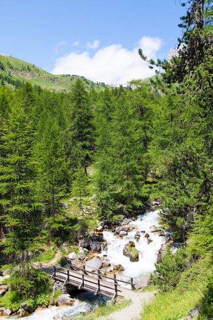 Área de Bardonecchia, Región de Piemonte, Alpes italianos. Puente sobre el río en el bosque alpino.