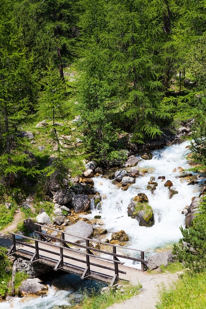 Área de Bardonecchia, Región de Piemonte, Alpes italianos. Puente sobre el río en el bosque alpino.