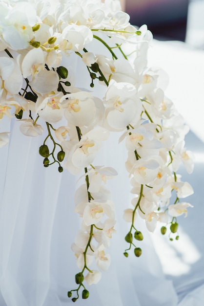 Área de ceremonia de boda, decoración de sillas de arco.