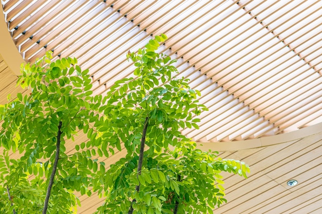 Área de espaço público interior com design de grade de dossel para-sol de telhado para planta de árvore verde interna para resfriamento de ar de atualização de ozônio