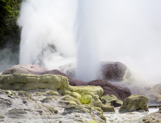 Área de gêiser termal de Whakarewarewa