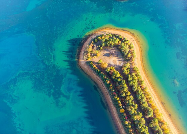 Área de paisagem em uma bela luz do lago de verão com fantástica