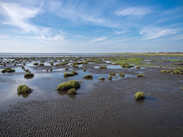 Área de preservação de pântanos com céu azul
