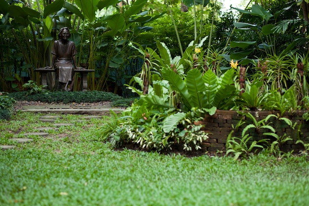 Área no parque.