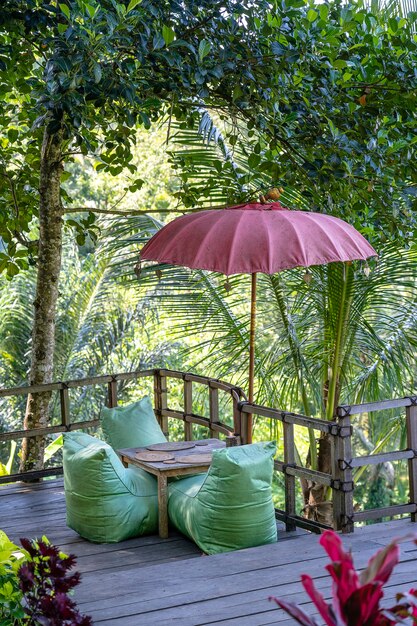 Área de recreación y palmeras de hojas verdes cerca de terrazas de arroz en un día soleado en la isla de Bali, Indonesia. Concepto de naturaleza y viajes.