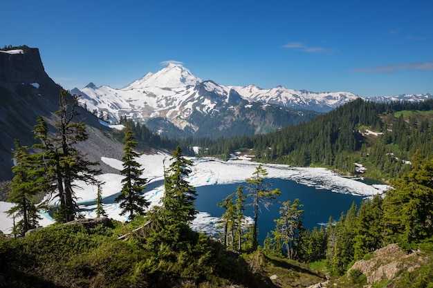 Área recreativa de Mt Baker en temporada de verano