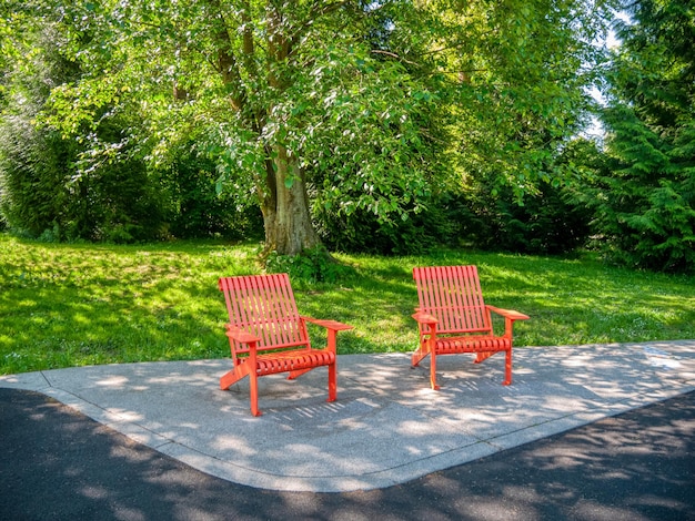 Área recreativa en un parque con dos sillas rojas debajo del árbol.