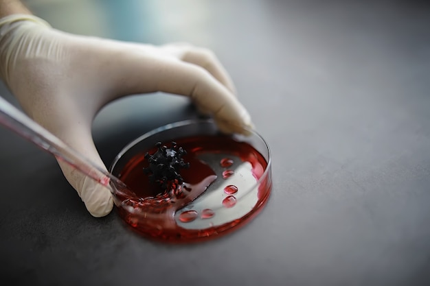 Reagenzglas mit Patientenblut zum Testen. Analyse auf das Virus. Laborstudien zur Coronavirus-Pandemie. Entwicklung von Impfstoffen.