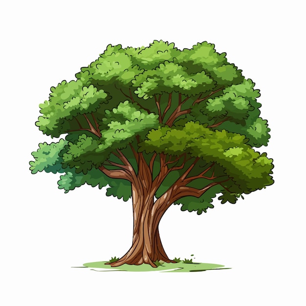 Realistische Grünbaum-Illustration mit weißem Hintergrund