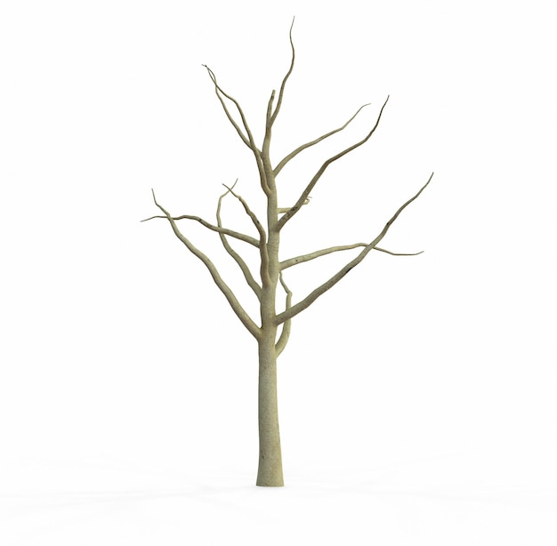 Realistischer Apfelbaum voller Blätter isoliert auf einem weißen 3D-Render