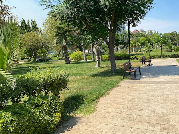 Áreas de recreação do parque do Egito Jardim e paisagismo