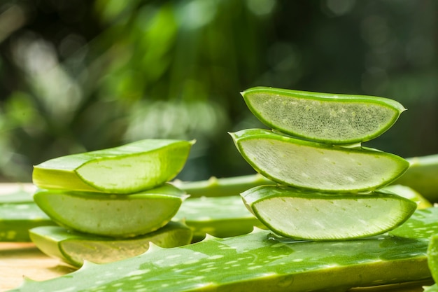 Rebanada de aloe vera en la granja