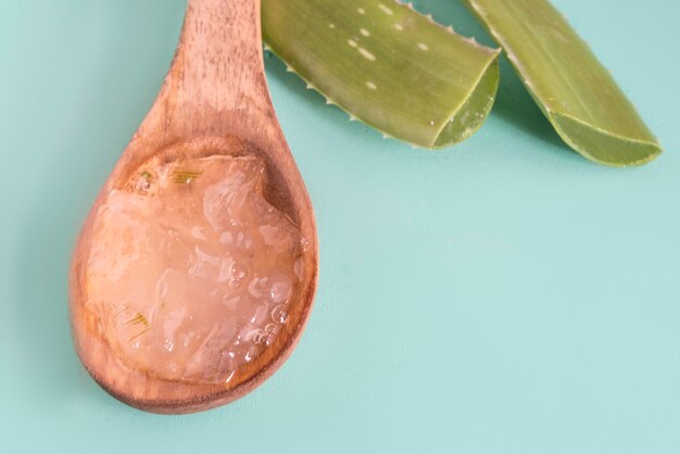 Rebanada de Aloe Vera, una medicina herbal muy útil