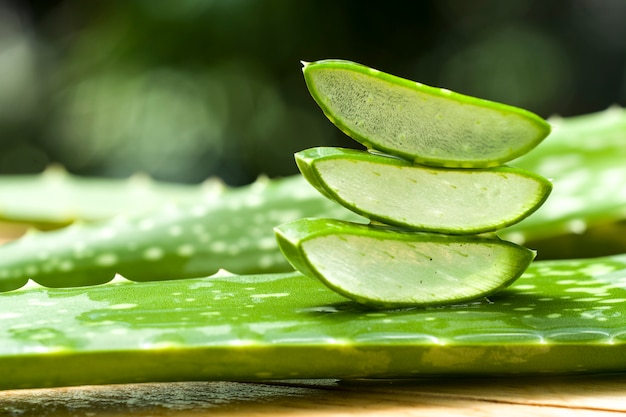 rebanada de aloe vera