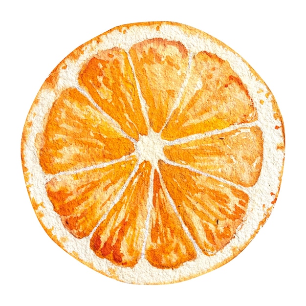 Foto una rebanada de naranja y una rebaja de limón seco dibujado a mano con acuarela ilustración de naranjas y limón