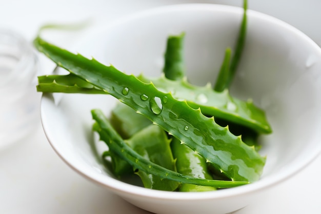 Rebanada de la planta de Aloe Vera. Concepto de belleza.