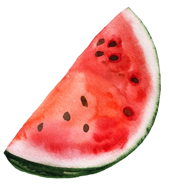 Rebanada de sandía jugosa roja con semillas Ilustración de frutas tropicales de acuarela Comida saludable Elemento de diseño de verano
