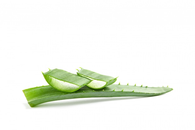 Rebanadas de aloe vera aisladas en blanco. Medicina herbaria