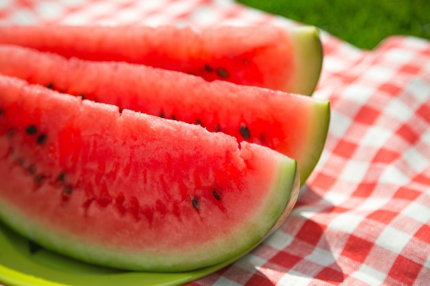 Rebanadas de sandía en un plato sobre una manta para picnic