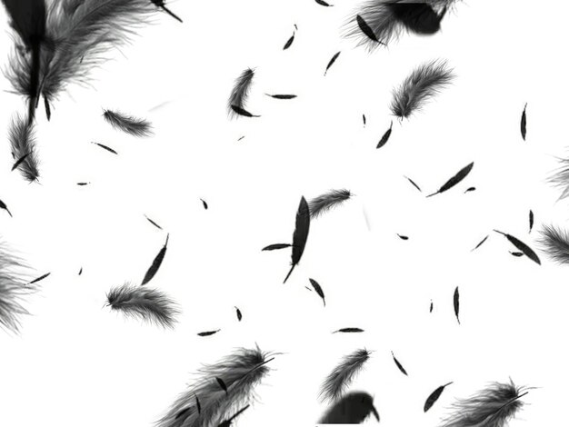 un rebaño de plumas con un pájaro volando en el fondo