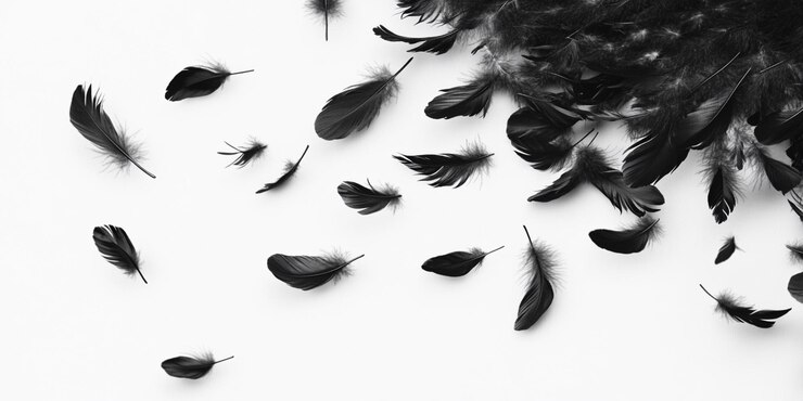 un rebaño de plumas con las palabras pluma en la parte inferior