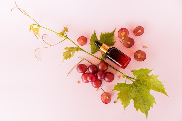 Rebe eine Weintraube und eine kosmetische Flasche aus farbigem Glas mit natürlichem Öltraubenkernserum auf einem rosafarbenen Hintergrund, Draufsicht eine Kopie des Raums