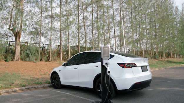 Foto recarga de baterías de vehículos eléctricos en el parque nacional exalt