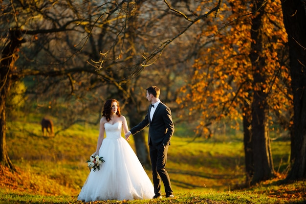 Recém-casados posando em um parque