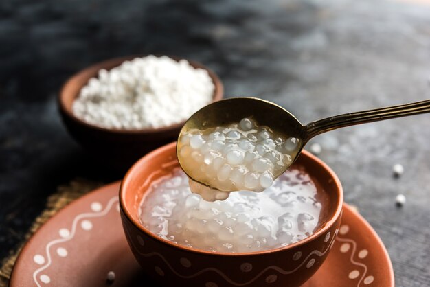 Receta de gachas de avena Sagú o Sabudana para bebés y niños pequeños, servida en un recipiente con cuchara, enfoque selectivo