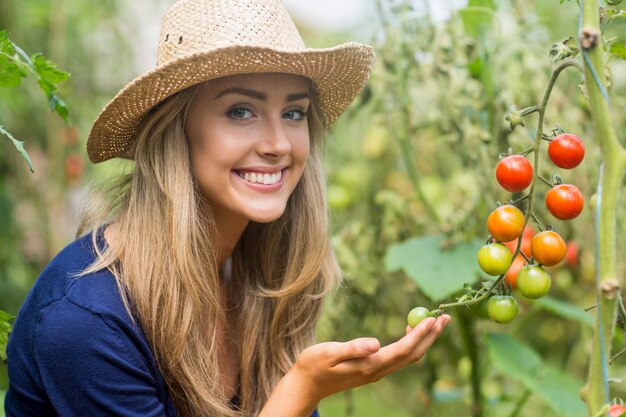 Recht blond, Tomatenpflanze zu Hause im Garten betrachtend