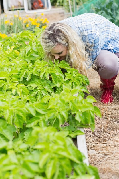 Recht junge Frau, die im Garten arbeitet