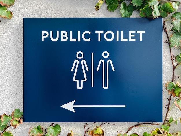 Rechteckige Tafel an einer mit Efeu bedeckten Wand mit der Aufschrift „öffentliche Toilette“.