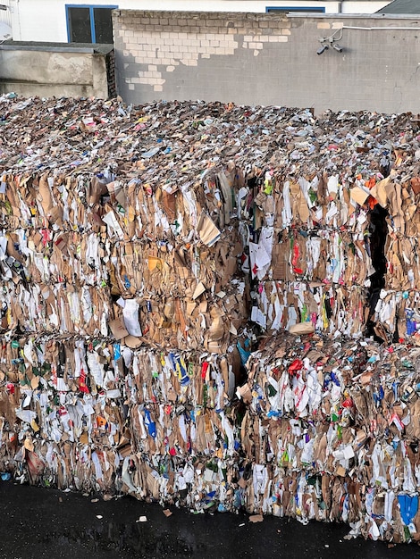 O papel reciclado feito pela pesquisadora secando ao ar livre