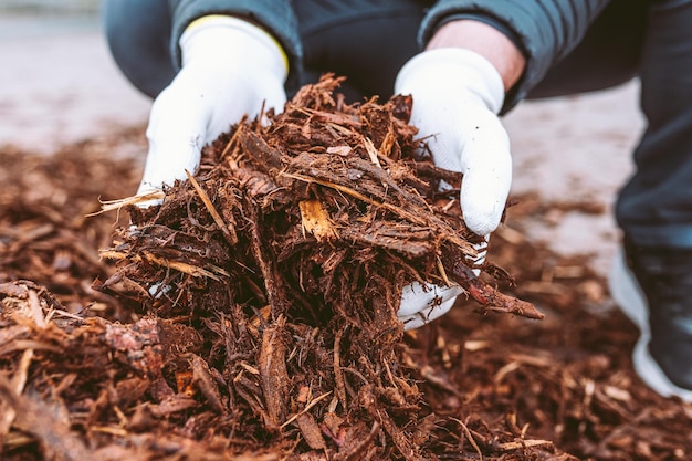 Reciclagem e sustentabilidade