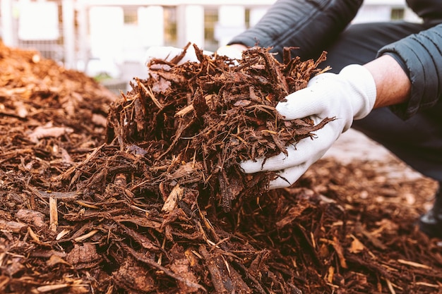 Reciclaje y sostenibilidad