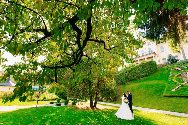 Recién casados abrazándose en el parque bajo los árboles.