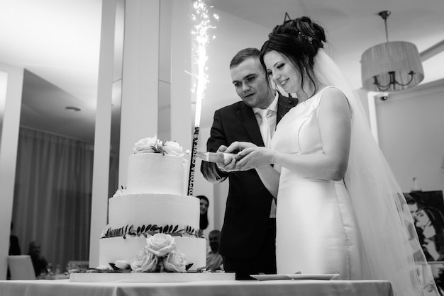 Recién casados felizmente cortan, ríen y prueban el pastel de bodas