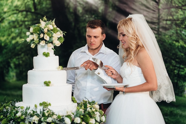 Recién casados felizmente cortan, ríen y prueban el pastel de bodas